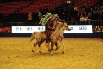 Quadrille - 00365